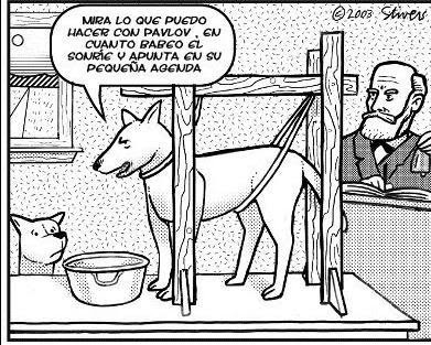 Chistes.Psicologia.Animal