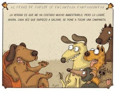 Chistes.Psicologia.Animal